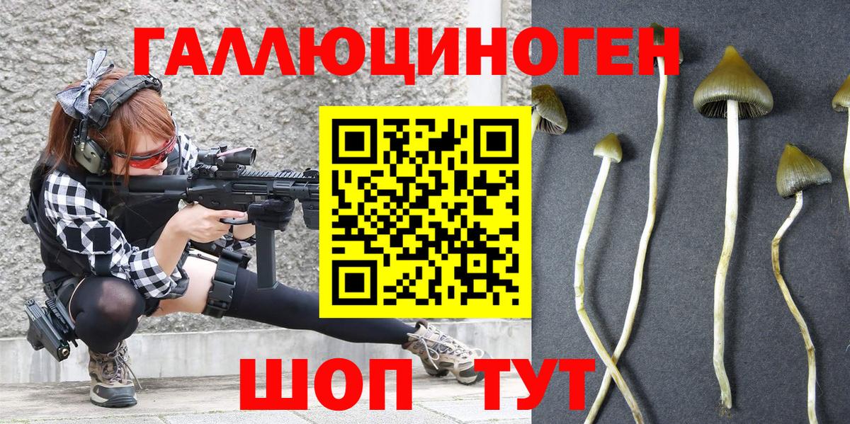 Карталы  Псилоцибиновые грибы GOLDEN TEACHER  Вход с VPN 